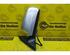 Wing (Door) Mirror VW PASSAT Variant (3B6)