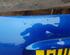 Boot (Trunk) Lid MINI Mini Cabriolet (R52)