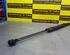 Bootlid (Tailgate) Gas Strut Spring FORD Galaxy (WA6), FORD S-Max (WA6)