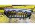 Radiator Grille BMW 1er (E87)