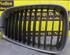 Radiator Grille BMW 1er (E87)