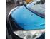 Motorkap PEUGEOT 207 CC (WD_)