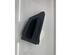 Door Handle RENAULT Twingo III (BCM)