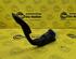 Accelerator pedal RENAULT Twingo II (CN0)