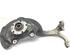 Stub Axle AUDI A6 Avant (4F5, C6)