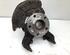 Stub Axle VW GOLF IV (1J1)