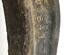 Stub Axle MERCEDES-BENZ M-CLASS (W164)