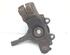 Stub Axle FORD FOCUS C-MAX (DM2), FORD C-MAX (DM2), FORD KUGA I, FORD KUGA II (DM2)