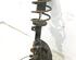 Stub Axle BMW 3 Touring (E46)