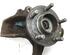 Stub Axle FORD FOCUS II Turnier (DA_, FFS, DS)