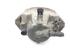 Brake Caliper BMW 5er (E39)