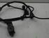 Door Wiring Harness FORD FOCUS (DAW, DBW)