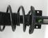 Suspension Strut SEAT IBIZA IV (6J5, 6P1)