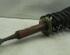 Suspension Strut AUDI A4 Avant (8ED, B7)