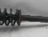 Suspension Strut AUDI A4 Avant (8E5, B6)