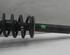 Suspension Strut AUDI A4 Avant (8ED, B7)