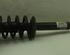 Suspension Strut AUDI A4 Avant (8ED, B7)