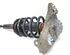 Suspension Strut VW Passat Variant (3B6)