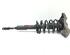 Suspension Strut VW Passat Variant (3B6)