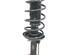 Suspension Strut AUDI A3 (8L1)