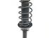 Suspension Strut AUDI A3 (8L1)