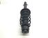 Suspension Strut VW Golf IV (1J1)