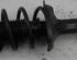 Suspension Strut VW Polo (6N1)