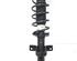 Suspension Strut FORD Mondeo III (B5Y)