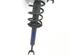 Suspension Strut AUDI A4 Avant (8D5, B5)