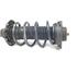 Suspension Strut VW Touran (1T1, 1T2)