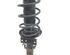 Suspension Strut VW Fox Schrägheck (5Z1, 5Z3, 5Z4)