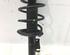 Suspension Strut BMW X3 (E83)