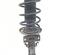 Suspension Strut SKODA ROOMSTER (5J7), SKODA ROOMSTER Praktik (5J)