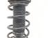 Suspension Strut SKODA ROOMSTER (5J7), SKODA ROOMSTER Praktik (5J)