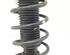 Suspension Strut SKODA ROOMSTER (5J7), SKODA ROOMSTER Praktik (5J)