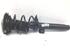 Suspension Strut BMW 1 (F20)