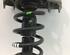 Suspension Strut AUDI A4 Avant (8ED, B7)