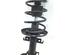 Suspension Strut RENAULT MEGANE III Grandtour (KZ0/1)