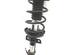 Suspension Strut FORD FIESTA VI (CB1, CCN)