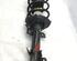 Suspension Strut FORD FIESTA VI (CB1, CCN)