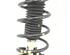 Suspension Strut FORD FIESTA VI (CB1, CCN)