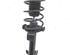 Suspension Strut MERCEDES-BENZ A-CLASS (W169)