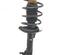 Suspension Strut MERCEDES-BENZ A-CLASS (W169)