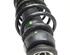 Suspension Strut VW GOLF IV (1J1)