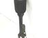 Suspension Strut MERCEDES-BENZ M-CLASS (W164)