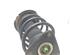 Suspension Strut FORD FOCUS C-MAX (DM2), FORD C-MAX (DM2), FORD KUGA I, FORD KUGA II (DM2)