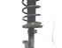 Suspension Strut FORD FOCUS C-MAX (DM2), FORD C-MAX (DM2), FORD KUGA I, FORD KUGA II (DM2)