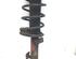 Suspension Strut FORD FOCUS C-MAX (DM2), FORD C-MAX (DM2), FORD KUGA I, FORD KUGA II (DM2)