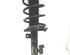 Suspension Strut FORD FOCUS C-MAX (DM2), FORD C-MAX (DM2), FORD KUGA I, FORD KUGA II (DM2)