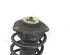 Suspension Strut VW TOURAN (1T1, 1T2), VW TOURAN (1T3)